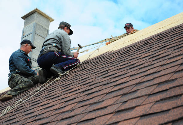 Best Gutter Installation and Roofing  in Collinwood, TN