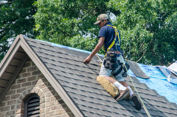 Best Shingle Roofing Installation  in Collinwood, TN