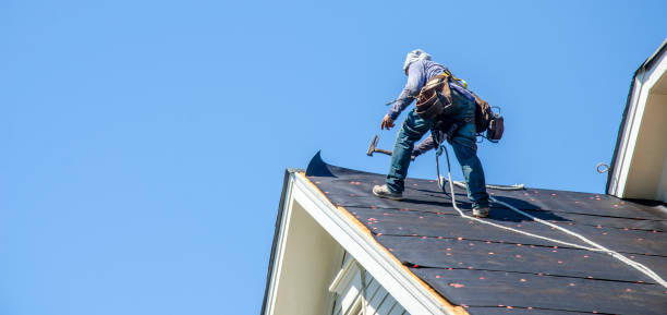 Best Roof Repair Services  in Collinwood, TN